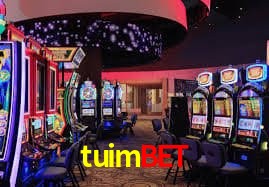 Tecnologia da Plataforma tuimbet