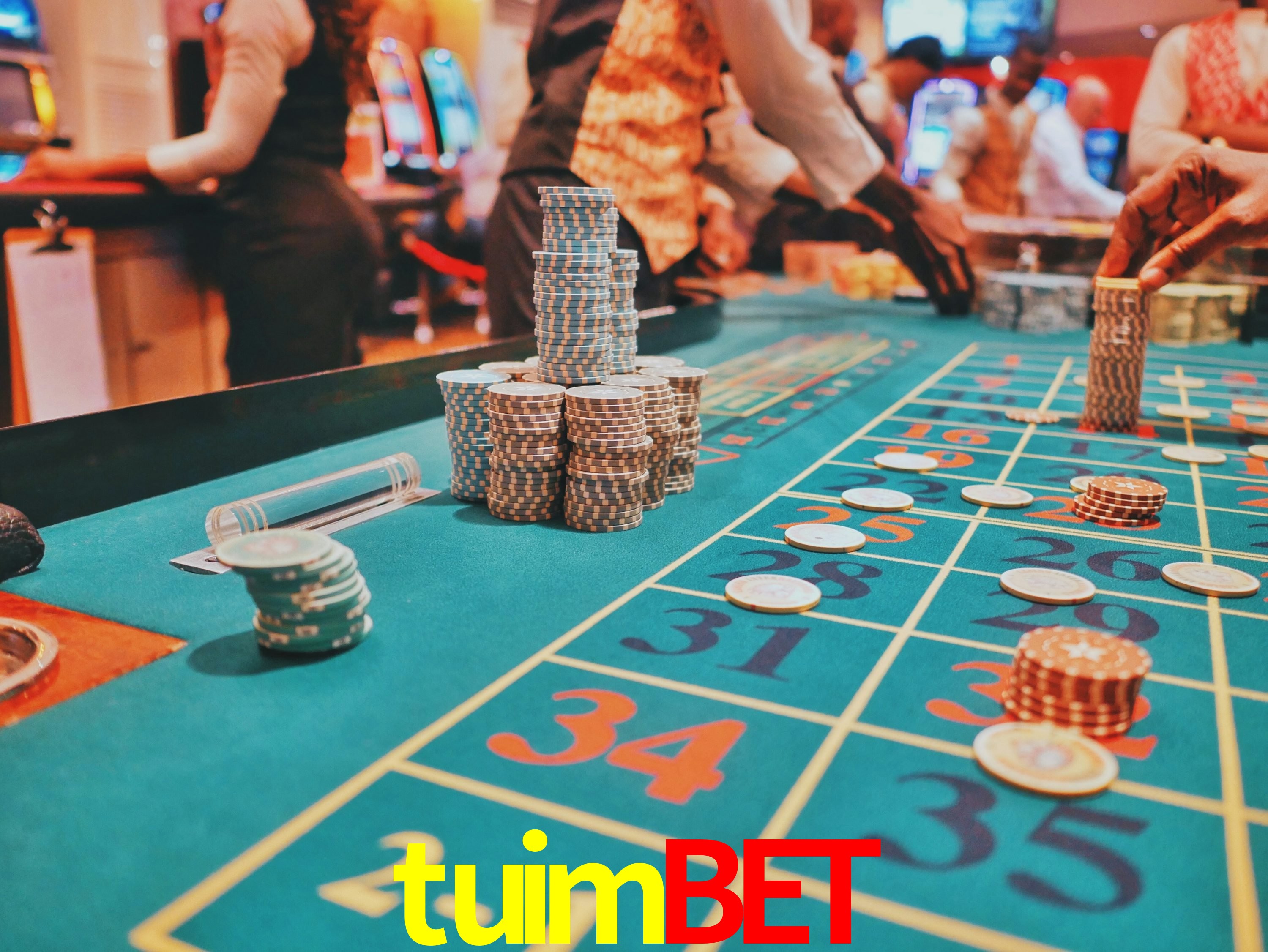Interface do App tuimbet